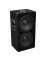BX-2250 Subwoofer 800W
