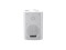 WPS-3W PA Wall Speaker
