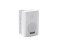 WPS-4W PA Wall speaker