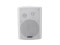 WPS-6W PA Wall Speaker