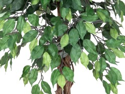 Ficus Tree Multi-Trunk, artificial plant, 180cm