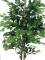 Ficus Tree Multi-Trunk, artificial plant, 210cm