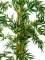 Bamboo multi trunk, artificial plant, 150cm