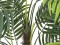 Areca Palme, Kunstpflanze, 110cm
