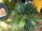 Areca Palme, Kunstpflanze, 110cm