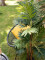 Areca Palme, Kunstpflanze, 110cm