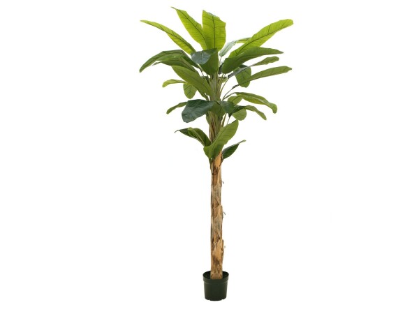 Banana tree, artificial plant, 210cm