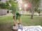 Banana tree, artificial plant, 210cm