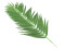 Coconut palm branch, artificial, 110cm 12x