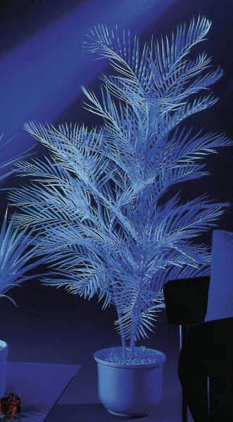 Kentia palm, artificial, uv-white, 90cm