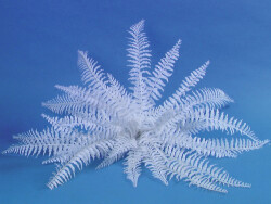 White boston fern, artificial, 60cm