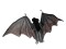 Fledermaus, groß, Spannweite 120cm
