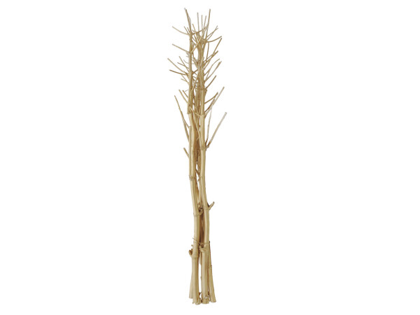 Fennel bunch, dried, gold, 160cm