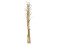 Fennel bunch, dried, gold, 160cm