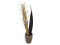 Fennel bunch, dried, gold, 160cm