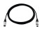 DMX cable XLR 5pin 10m bk Neutrik