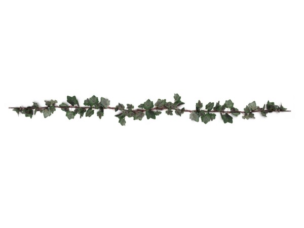 Vinegarland, 350cm
