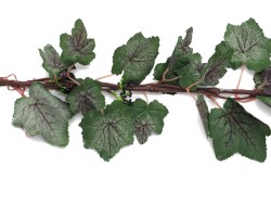 Vinegarland, 350cm