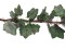 Vinegarland, 350cm
