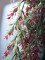 Grass tendril, artificial, green-red, 105cm