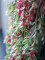 Grass tendril, artificial, green-red, 105cm