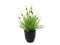 Feather lettuce, artificial, 40cm