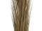 Reed grass, khaki, artificial, 127cm