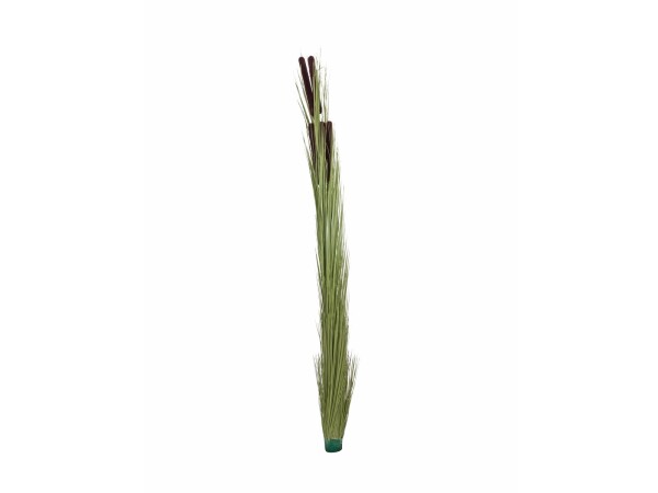 Schilfgras mit Kolben, künstlich, hellgrün, 152cm