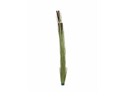 Reed grass with cattails,light green, artificial, 152cm