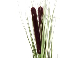 Reed grass with cattails,light green, artificial, 152cm