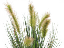 Moorgras im Dekotopf, künstlich, 60cm