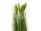 Wheat early summer, artificial, 60cm
