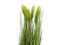 Wheat early summer, artificial, 60cm