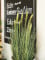 Wheat early summer, artificial, 60cm