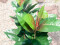 Rubber tree, artificial plant, 100cm