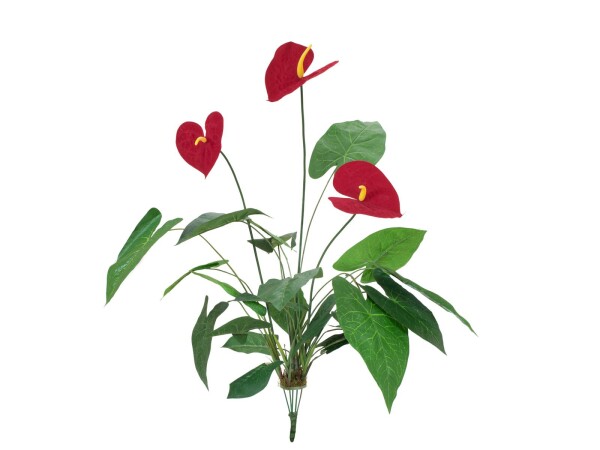 Anthurium, artificial, 70cm