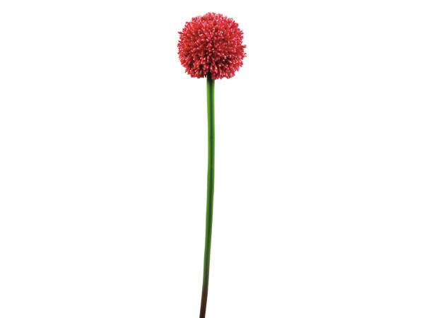 Alliumzweig, künstlich, rot, 55cm