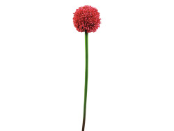 Alliumzweig, künstlich, rot, 55cm