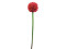Alliumzweig, künstlich, rot, 55cm
