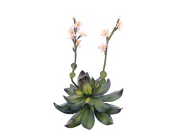 Steinrose (EVA), Kunstpflanze, pink, 32cm