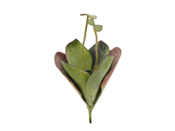 Water Lily (EVA),artificial plant, closed, green, 45cm
