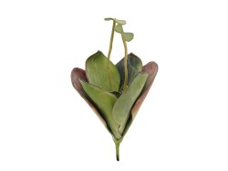 Water Lily (EVA),artificial plant, closed, green, 45cm