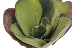 Water Lily (EVA),artificial plant, closed, green, 45cm