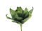 Agave (EVA), künstlich, grün, 35cm