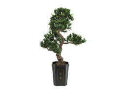 Bonsai podocarpus, artificial plant, 80cm