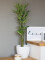 Cyprus grass, artificial, 76cm