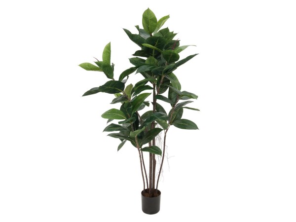 Rubber tree, artificial plant, 120cm