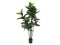 Rubber tree, artificial plant, 120cm