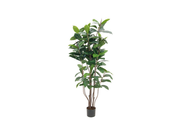 Rubber tree, artificial plant, 150cm