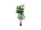 Rubber tree, artificial plant, 150cm